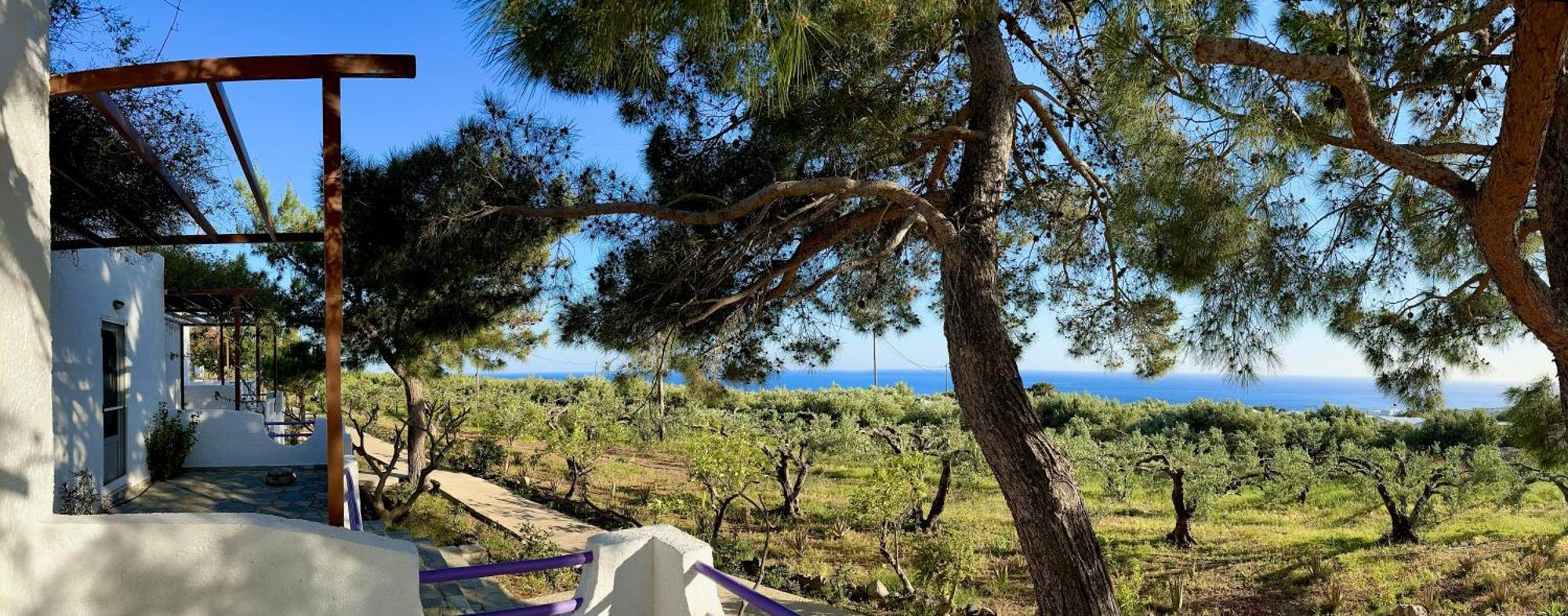 Studios Crete Ферма Екстер'єр фото